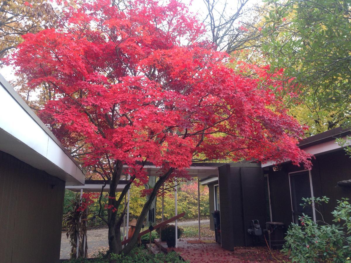 Huron River Guest House แอนอาร์เบอร์ ภายนอก รูปภาพ
